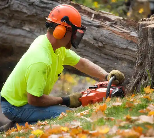 tree services Buies Creek